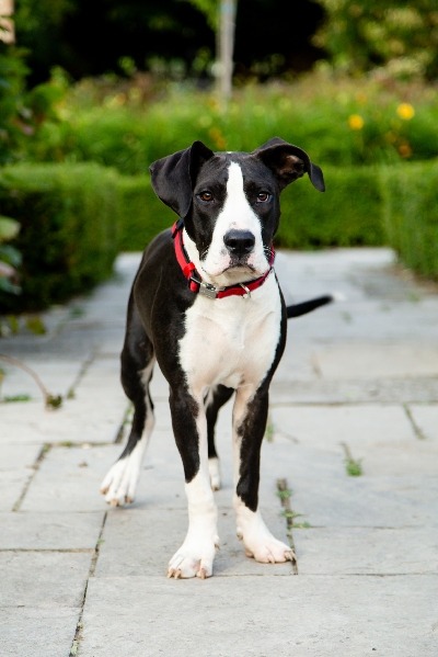 Delta-1_1564321869430