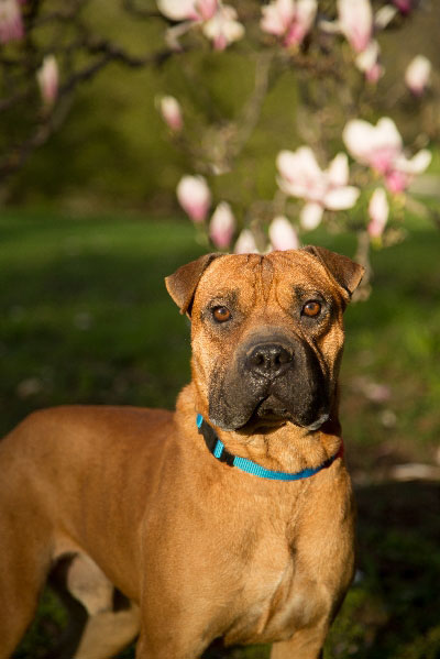 Evan-2_1557675558409